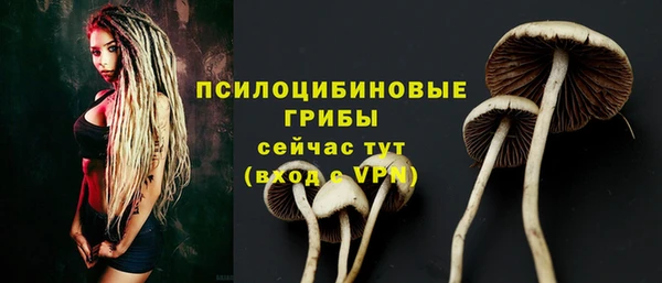 spice Каменка