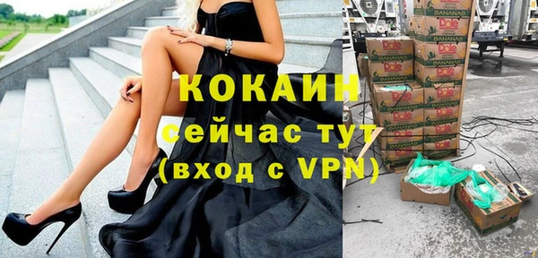 spice Каменногорск