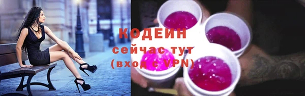 spice Каменка