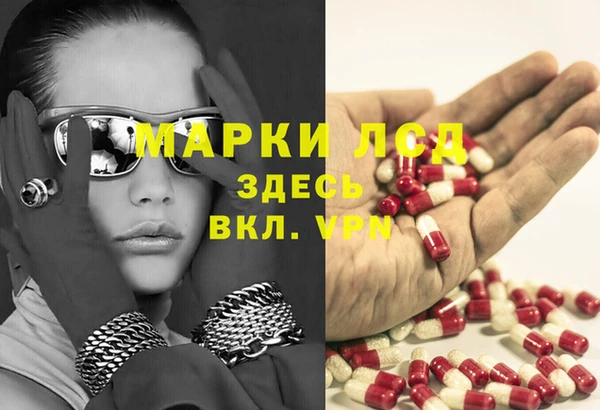 spice Каменногорск