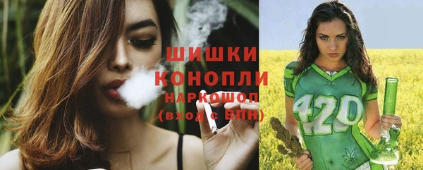 spice Каменногорск