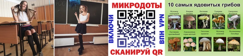 Галлюциногенные грибы ЛСД  Махачкала 